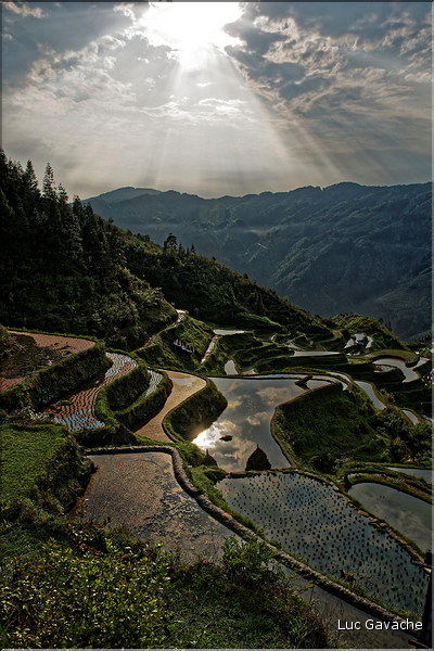 Les rizières en terrasses de Jiabang près du village de Jiache. (32)