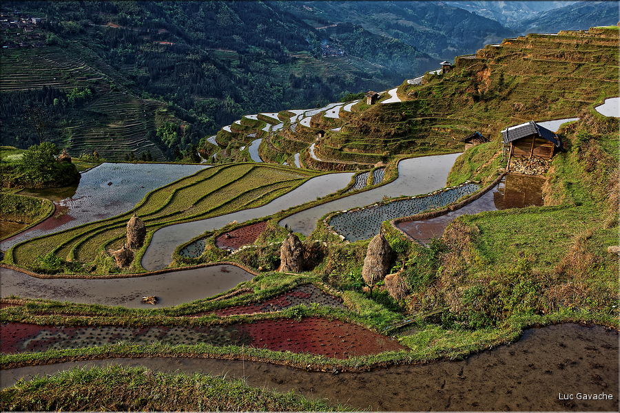 Les rizières en terrasses de Jiabang près du village de Jiache. (36)