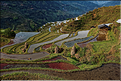 Les rizières en terrasses de Jiabang près du village de Jiache. (36)