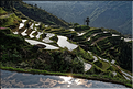 Les rizières en terrasses de Jiabang près du village de Jiache. (37)