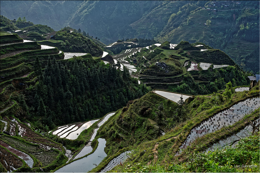 Les rizières en terrasses de Jiabang près du village de Jiache. (38)
