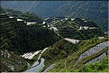 Les rizières en terrasses de Jiabang près du village de Jiache. (38)