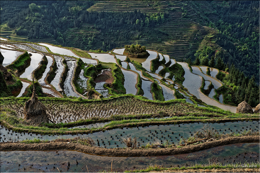 Les rizières en terrasses de Jiabang près du village de Jiache. (39)