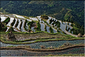 Les rizières en terrasses de Jiabang près du village de Jiache. (39)