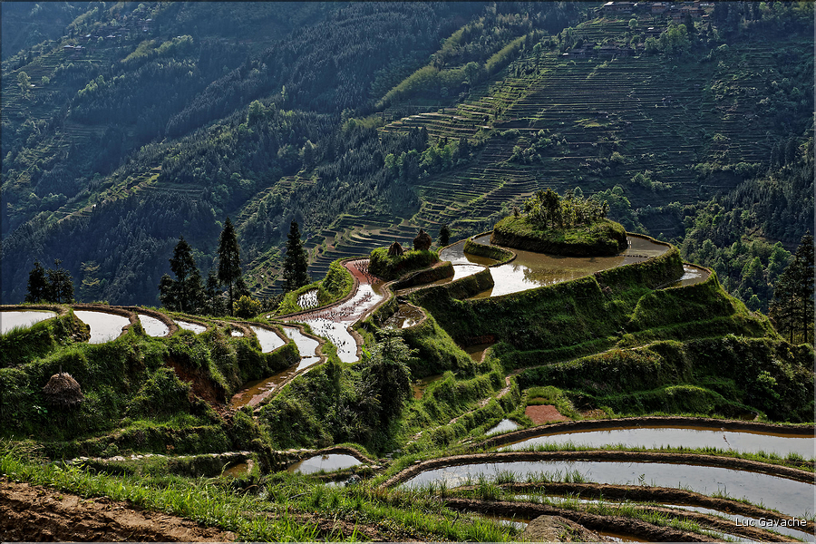 Les rizières en terrasses de Jiabang près du village de Jiache. (40)