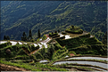 Les rizières en terrasses de Jiabang près du village de Jiache. (40)