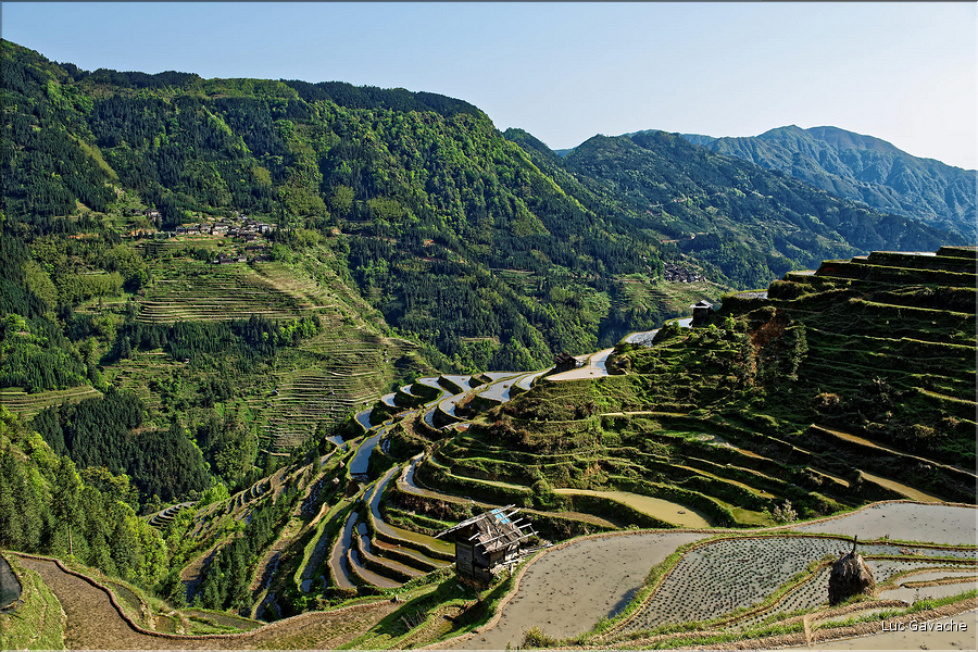 Les rizières en terrasses de Jiabang près du village de Jiache. (42)