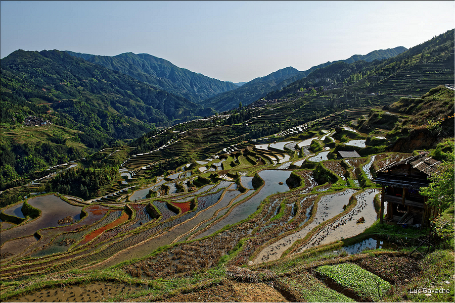 Les rizières en terrasses de Jiabang près du village de Jiache. (44)