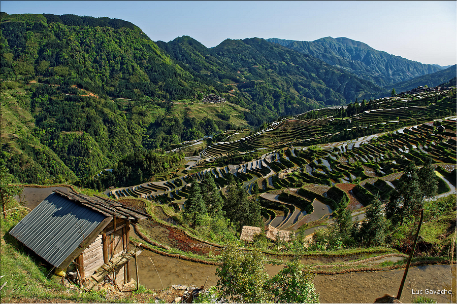 Les rizières en terrasses de Jiabang près du village de Jiache. (47)
