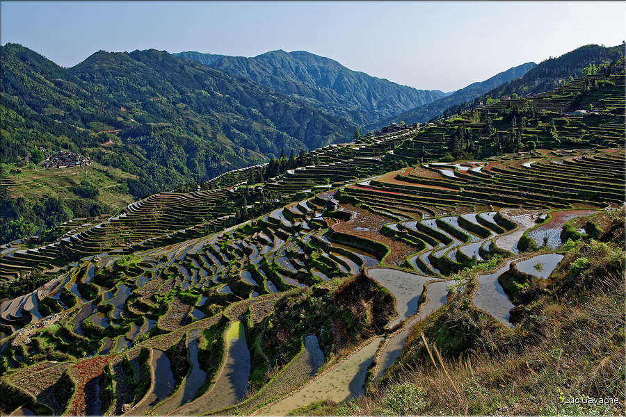 Les rizières en terrasses de Jiabang près du village de Jiache. (48)