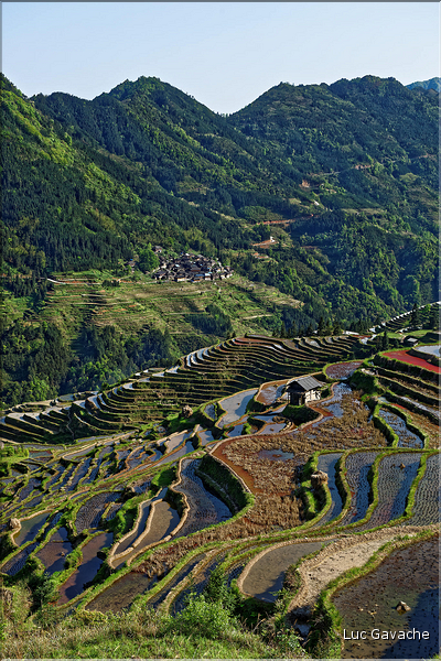 Les rizières en terrasses de Jiabang près du village de Jiache. (52)