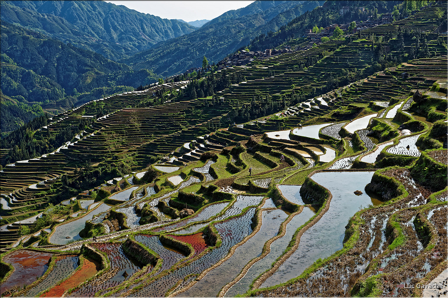 Les rizières en terrasses de Jiabang près du village de Jiache. (54)