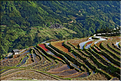 Les rizières en terrasses de Jiabang près du village de Jiache. (62)