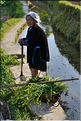 Le travail dans les rizières de Jiabang près du village de Jiache. (11)