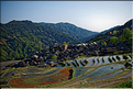 Le village de Jiache au cur des rizières de Jiabang. (1)