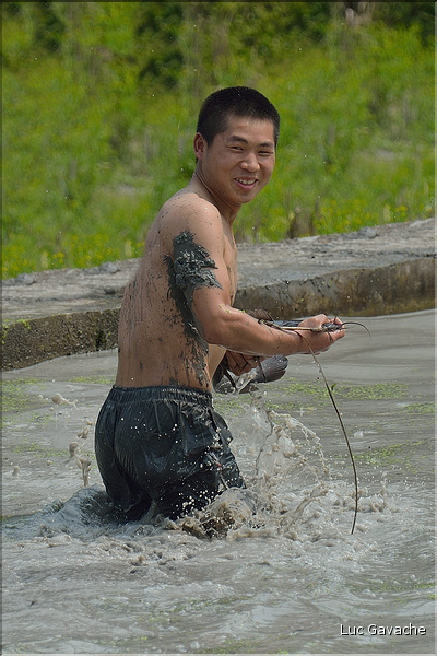 La fête du repas des surs Miao commence par la capture des poissons dans les rizières de Laotun... (9)