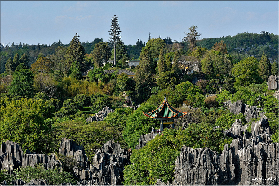 La forêt de pierres de Shilin résulte d'anciens fonds marins calcaires. (21)