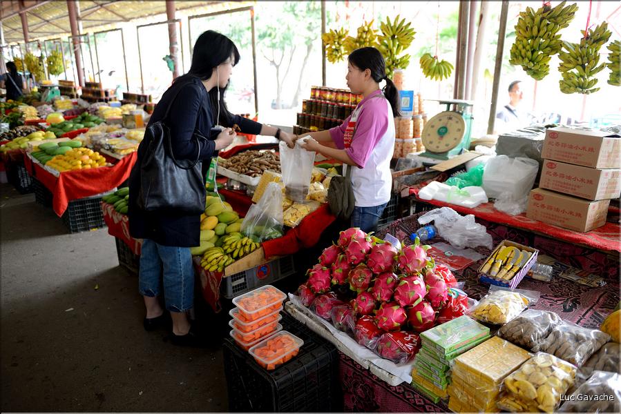 Le marché aux fruits de Lengdun. (10)