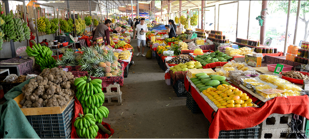 Le marché aux fruits de Lengdun. (11)