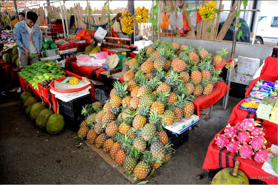 Le marché aux fruits de Lengdun. (14)