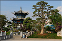 Jardin de la famille Zhu à Jianshui. (9)