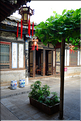 Jardin de la famille Zhu à Jianshui. (18)