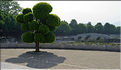 Le deuxième plus grand temple de Confucius en Chine, se trouve à Jianshui. (6)