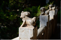 Le deuxième plus grand temple de Confucius en Chine, se trouve à Jianshui. (25)