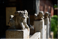 Le deuxième plus grand temple de Confucius en Chine, se trouve à Jianshui. (26)