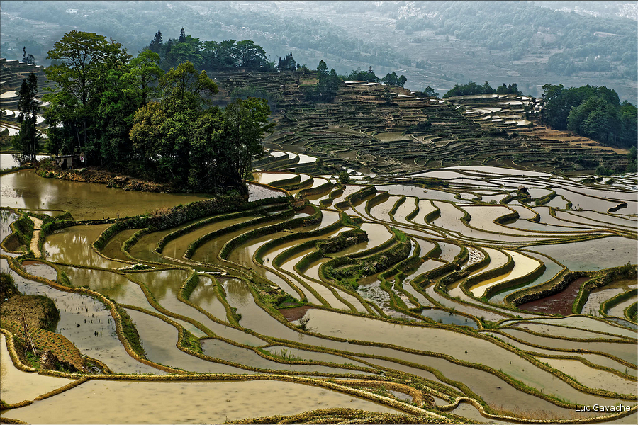 La région de Yuanyang possède une des plus belles zones de rizières de Chine... (1)