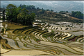 La région de Yuanyang possède une des plus belles zones de rizières de Chine... (1)