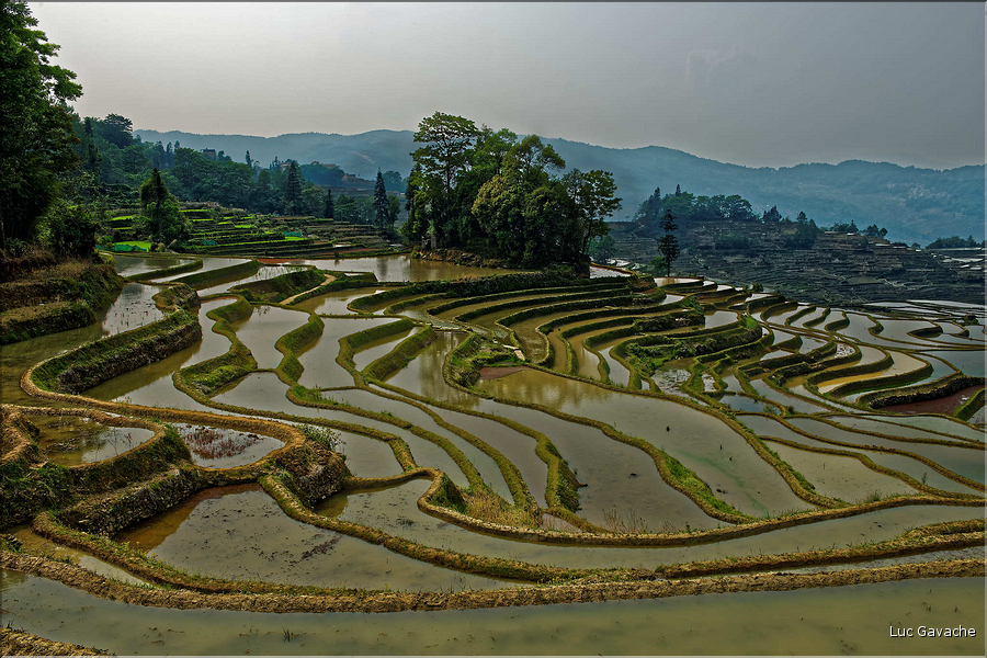 La région de Yuanyang possède une des plus belles zones de rizières de Chine... (2)