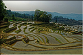 La région de Yuanyang possède une des plus belles zones de rizières de Chine... (2)