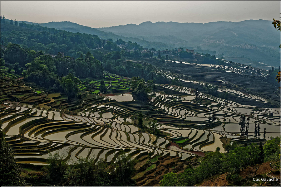 La région de Yuanyang possède une des plus belles zones de rizières de Chine... (3)