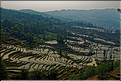 La région de Yuanyang possède une des plus belles zones de rizières de Chine... (3)