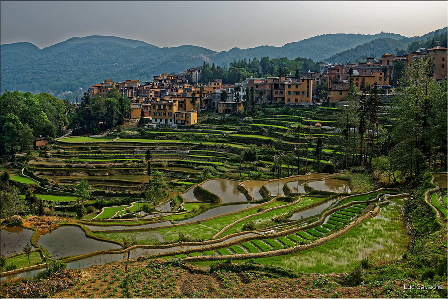 ... ici, les rizières près du village de Duoyishu. (1)