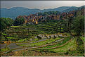 ... ici, les rizières près du village de Duoyishu. (1)