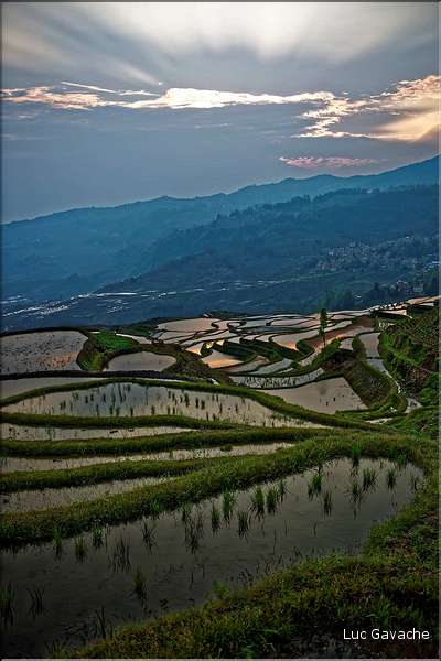 ... ici, les rizières près du village de Duoyishu. (4)