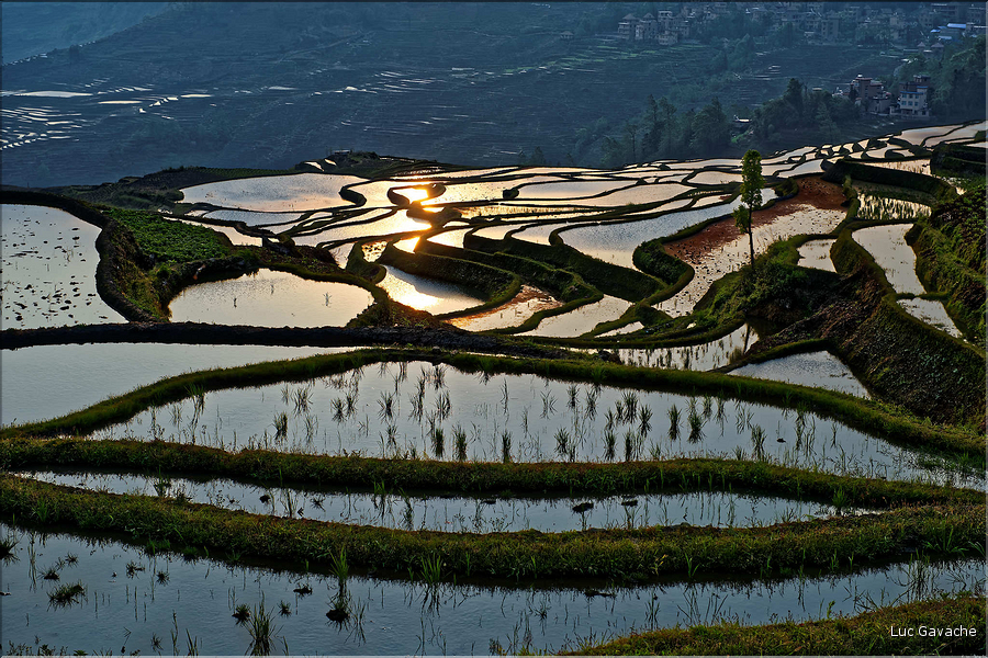 ... ici, les rizières près du village de Duoyishu. (6)