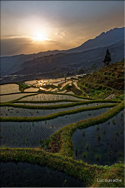 ... ici, les rizières près du village de Duoyishu. (8)
