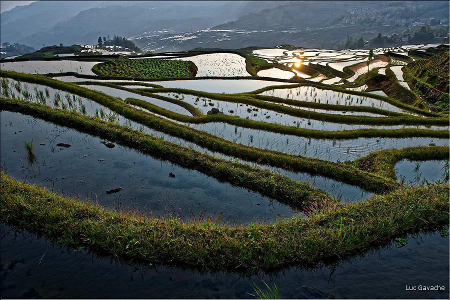 ... ici, les rizières près du village de Duoyishu. (10)