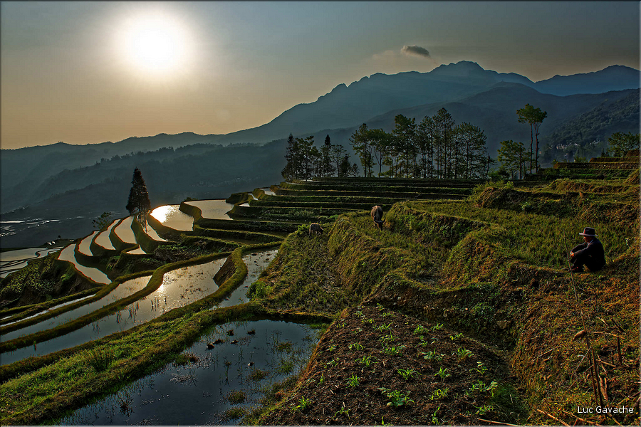 ... ici, les rizières près du village de Duoyishu. (18)