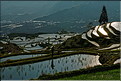 ... ici, les rizières près du village de Duoyishu. (21)