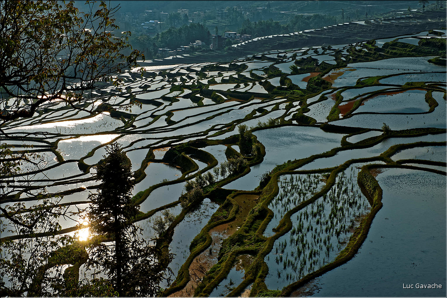 ... ici, les rizières près du village de Duoyishu. (22)