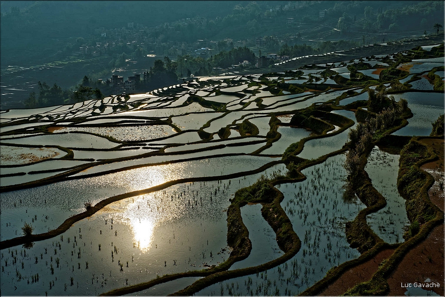 ... ici, les rizières près du village de Duoyishu. (23)