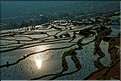 ... ici, les rizières près du village de Duoyishu. (23)