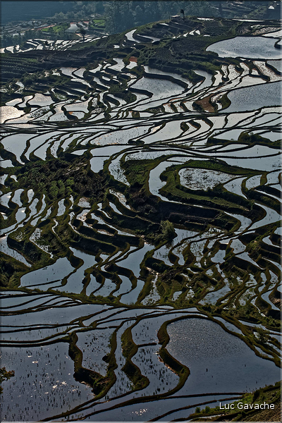 ... ici, les rizières près du village de Duoyishu. (24)