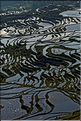 ... ici, les rizières près du village de Duoyishu. (24)