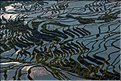 ... ici, les rizières près du village de Duoyishu. (25)