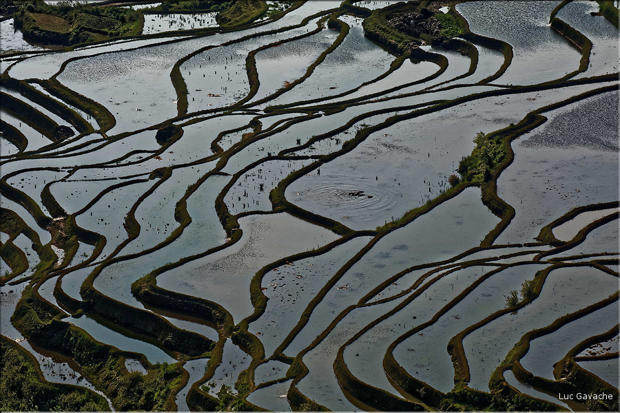 ... ici, les rizières près du village de Duoyishu. (26)